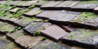West End roof repair costs